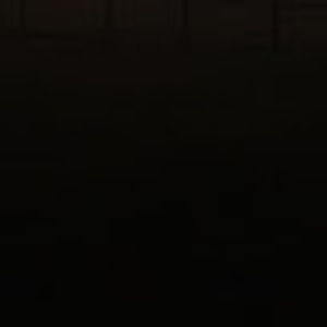 Meet your Posher, Gracie